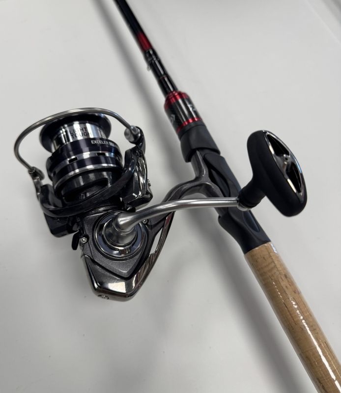 Daiwa Fuego Spin 8,1' 15-60gr - 2 sec/ Daiwa 20 Exceler LT 4000-CP