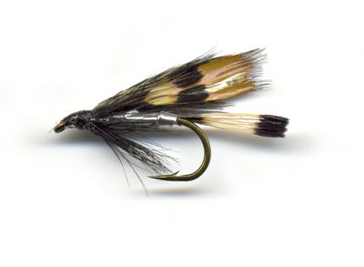 Våtfluer 2pk. Dabbo