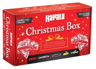 The Christmas Mystery Box